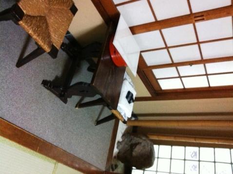 Ryokan Kyoka Kyoto Dış mekan fotoğraf